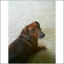 lesa hale - @lesahale - Twitter