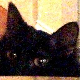 MissJWy's profile picture. artmaker//heartbreaker: don't you mess around with me