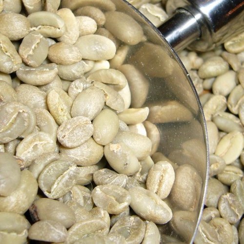 poirierfrederic's profile picture. 