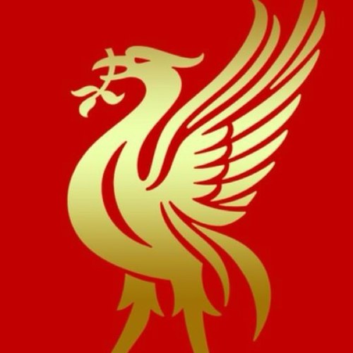 tommyanlr1's profile picture. love liverpool my views are my own n i dont give a fiddlers wat anyone thinks king luis is innocent