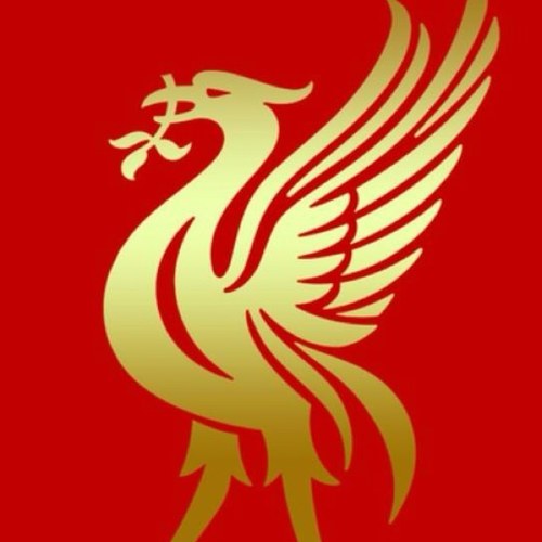 love liverpool my views are my own n i dont give a fiddlers wat anyone thinks king luis is innocent