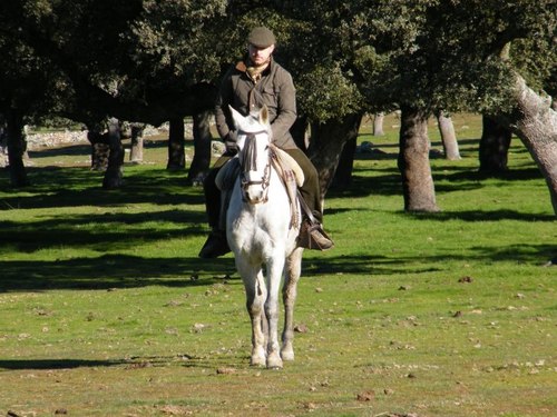 Diplomado en CC. Empresariales y Licenciado en Admon. y dirección de empresas. Apasionado por el caballo y el acoso y derribo y fiel amante del toro bravo.