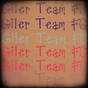 We are Gila Team