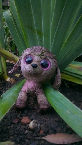 LesleyRippon's profile picture. 