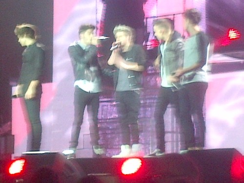 Hi☺ thankyou to everyone who is following me... Ill will follow back!! Also follow my other account to @ellie_moore1d:)