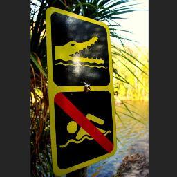 gilou73100's profile picture. 