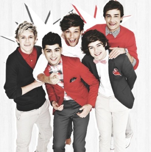 Claire kirwan ,Irish ,13 ,i love niall horan, harry styles, louis tomlinson, zaym malik and liam payne #directioner , follow me il follow you back :)