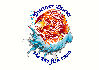 Suppliers of F1 Wild Discus in Scotland, all sourced from Steve Punchard. The Sole Agent In Scotland for Punchards Discus