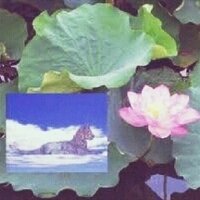 馬の骨bot (@horseborne_bot) Twitter profile photo