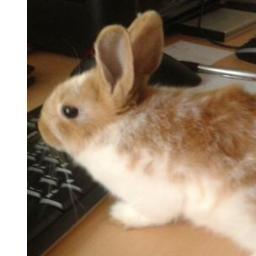 Maneval2's profile picture. 