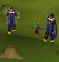 TheRangerTwins's profile picture. RuneScape Twins. (R An Ger 1 and R An Ger I)