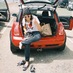 Emily Thomas (@theemilyjean) Twitter profile photo Emily Thomas (@theemilyjean) Twitter profile photo