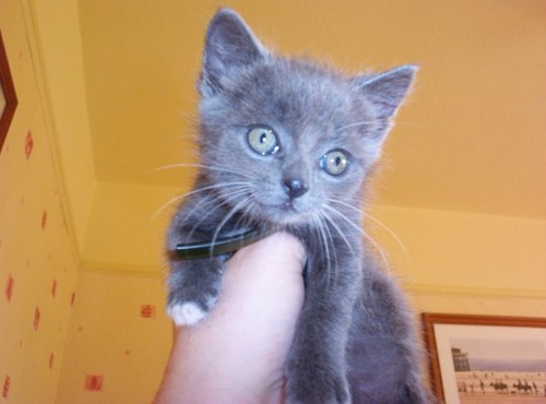 Mcmcfmcfcok's profile picture. 