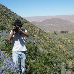 Soy un Ingeniero Agrónomo con experiencia en el área de evaluación y preparación de proyectos (sociales, culturales y económicos), biodiversidad (flora y fauna)