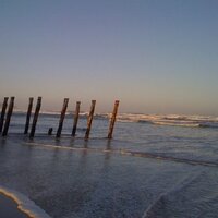 Dena Al (@alsde) 's Twitter Profile