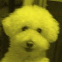 Donna Leathers - @leathersgirl19 - Twitter