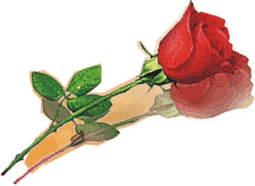 just dm me :* || my ym : puterri_toge@ymail.com