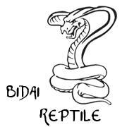 Reptile Keeper, Traveller, Trader, and Broker 
All Day is Holiday for me Hahaha