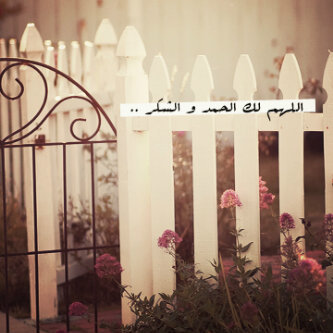 BB:299A755D instgram : aln3imiqtr follow me !