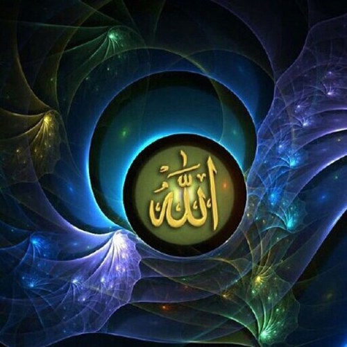 الامام علي عليه •• آلسَـِْ♡̨̐ـِْلامَ••* الجاهل يستوحش مما يأنس به الحكيم