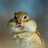 930413z's profile image