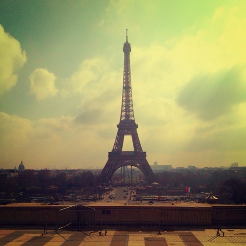 NsNotes's profile picture. 