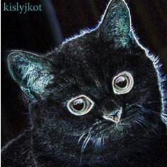 ღKislyjkot Family ღ