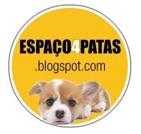 espaco4patas's profile picture. Dedicado aos pets!