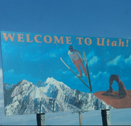 iShredUT's profile picture. 