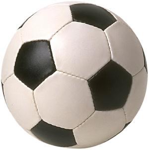 Infomacion sobre todas las ligas internacionales.(Liga BBVA,liga inglesa,liga italiana,francesa,tercera division g.6(comunitat valenciana).. etc