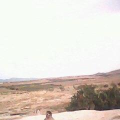 ridha 28288545