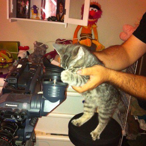 Ibrokemylight's profile picture. 