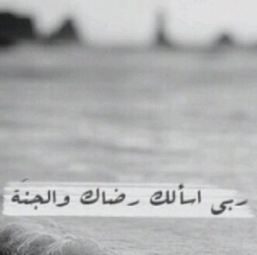 ‏‏‏‏هذا الحساب مخصص للأدعيه ، وأرجو من الله أن يجعلها في ميزان حسنات والدي وأموات المسلمين