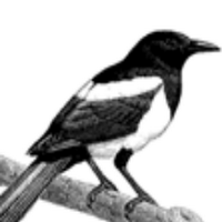 Chawton Cricket Club (@chawtoncc) 's Twitter Profile