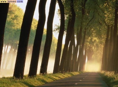 i like nature.