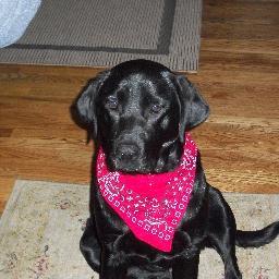 NancyMDoyle's profile picture. 