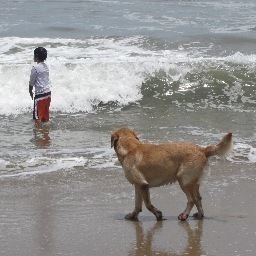 cam5053's profile picture. 