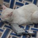 simon ramon - @SimnRamon - Twitter