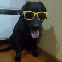 Sempre divando, sapecando, comendo chinelos, issaê, como é bom ser vida loka!