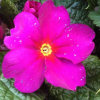 Jo Hurd (@hurdjo) 's Twitter Profile