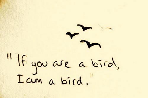 ''if you a bird, I am a bird''