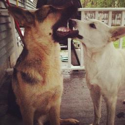 rblair0721's profile picture. 