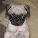 Kay Russell - @russeller43 - Twitter