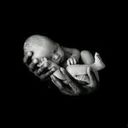 Jerome Miller-Bey - @jerome_bey - Twitter