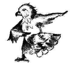 Follow us for the latest Campus Recreation events and news. Falcons up.