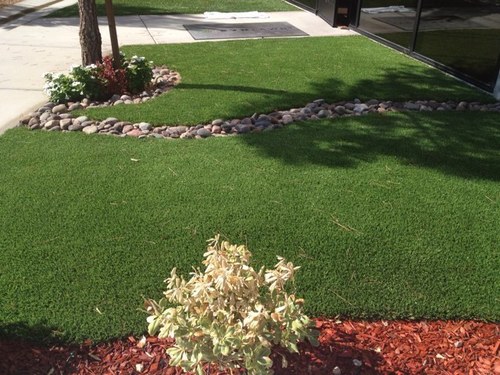 ...where the grass is always greener!