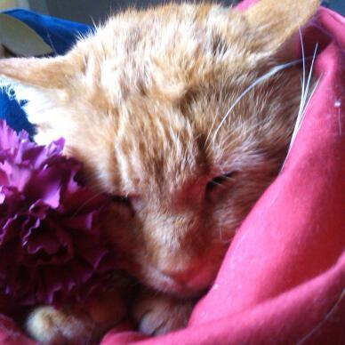 becmoody's profile picture. 