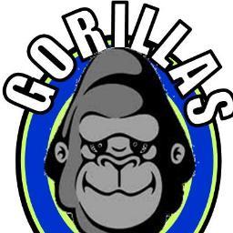 My Name is Cesar Gorilla Silva - Director at The Phoenix Ranch Summer Day Camp. I have been working with children for about 22 years now.