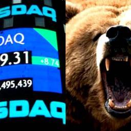 Reminiscences of a Bear Operator