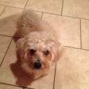 Karla Dobson - @KarlaDobson - Twitter